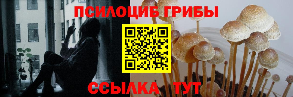 Галлюциногенные грибы Magic Shrooms  Вход с VPN  Минеральные Воды 